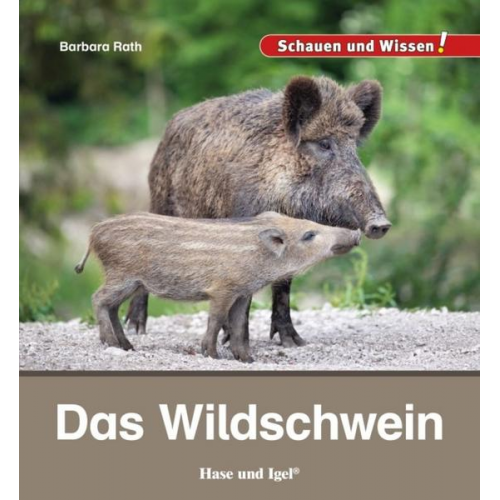 Barbara Rath - Das Wildschwein