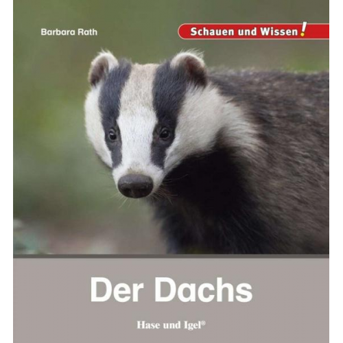 70509 - Der Dachs