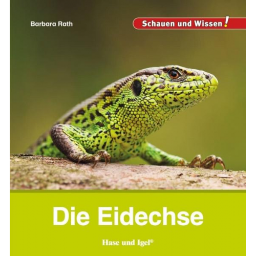 Barbara Rath - Die Eidechse