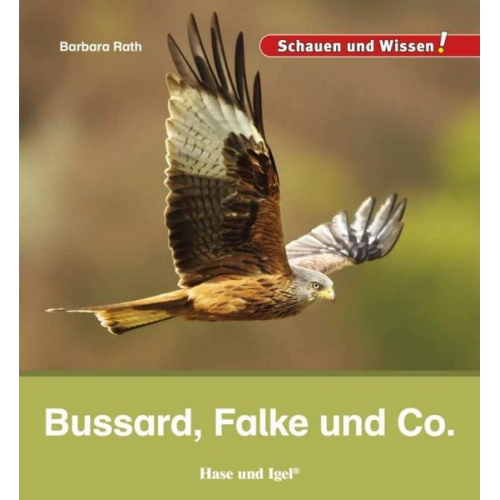 Barbara Rath - Bussard, Falke und Co.