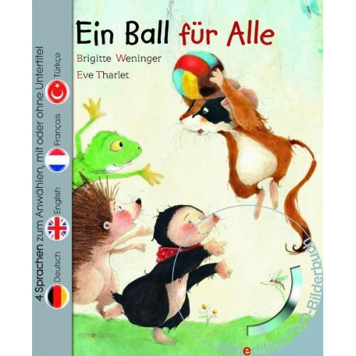 133432 - Ein Ball für Alle (Buch mit DVD)