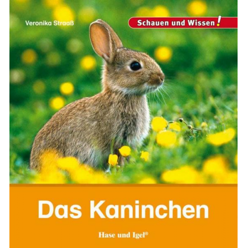 45295 - Das Kaninchen