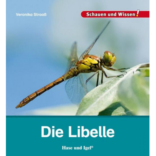 109320 - Die Libelle