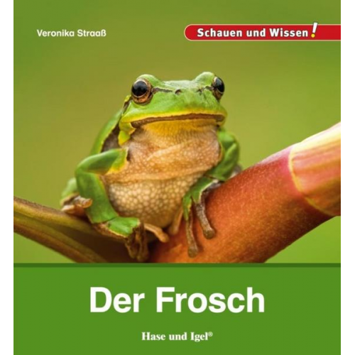 123466 - Der Frosch