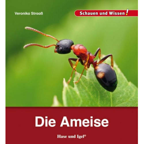 Veronika Straass - Die Ameise