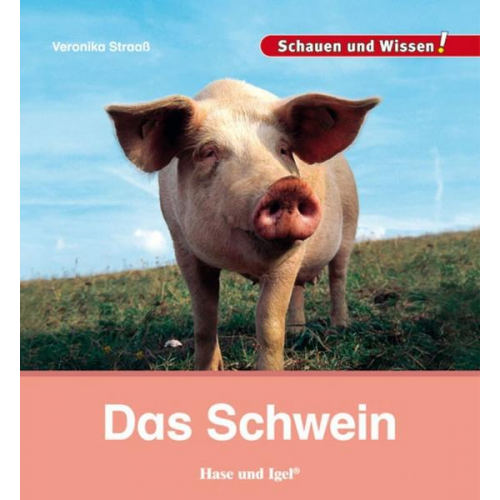 Veronika Straass - Das Schwein