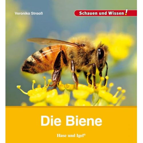 94133 - Die Biene