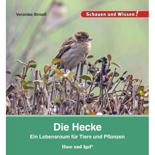 Veronika Straass - Die Hecke