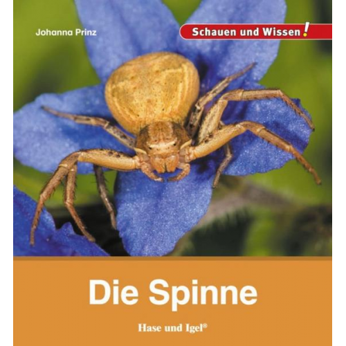 Johanna Prinz - Die Spinne