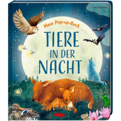 Becky Davies - Mein Pop-up-Buch – Tiere in der Nacht