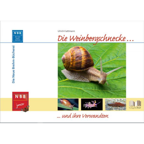 Ulrich Kattmann - Die Weinbergschnecke und ihre Verwandten