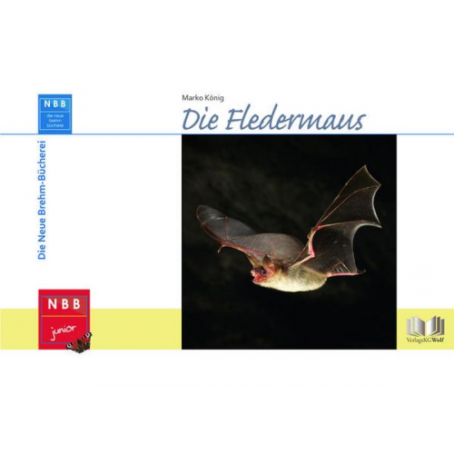 Marko König - Die Fledermaus