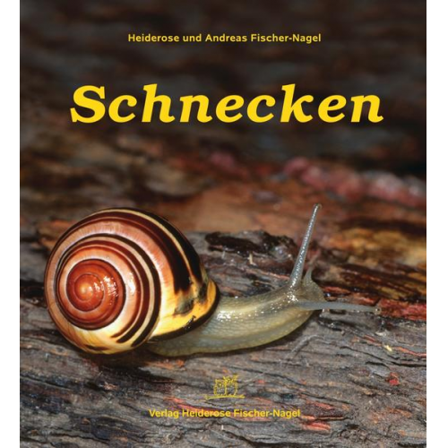 58696 - Schnecken