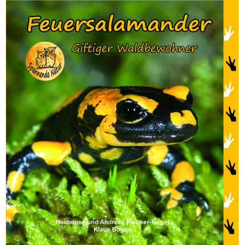 Heiderose Fischer-Nagel & Andreas Fischer-Nagel - Feuersalamander