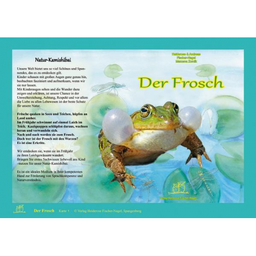 117899 - Natur-Kamishibai / Der Frosch