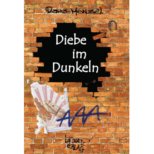 Dana Menzel - Diebe im Dunkeln