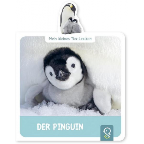 Hannah Kastenhuber - Der Pinguin