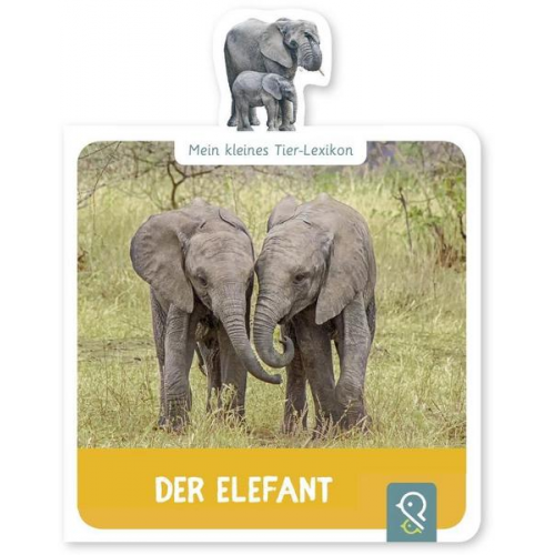 Hannah Kastenhuber - Der Elefant