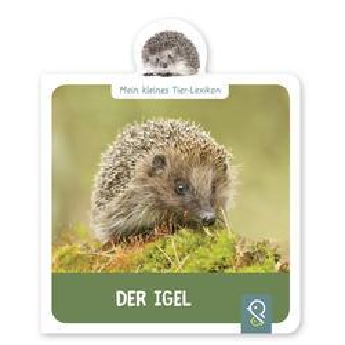 Hannah Kastenhuber - Der Igel