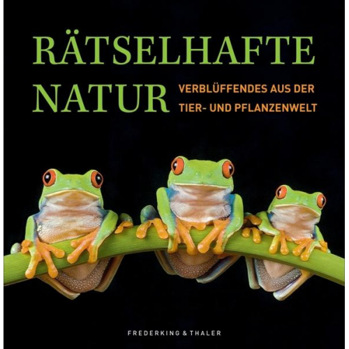 Rainer Köthe - Rätselhafte Natur