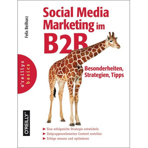 Felix Beilharz - Social Media Marketing im B2B