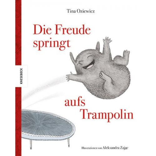 63926 - Die Freude springt aufs Trampolin