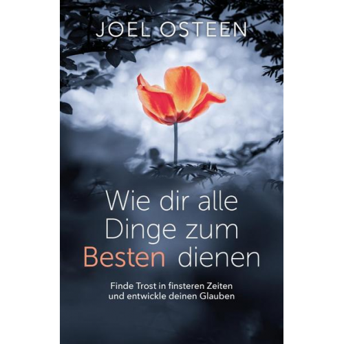 Joel Osteen - Wie dir alle Dinge zum Besten dienen