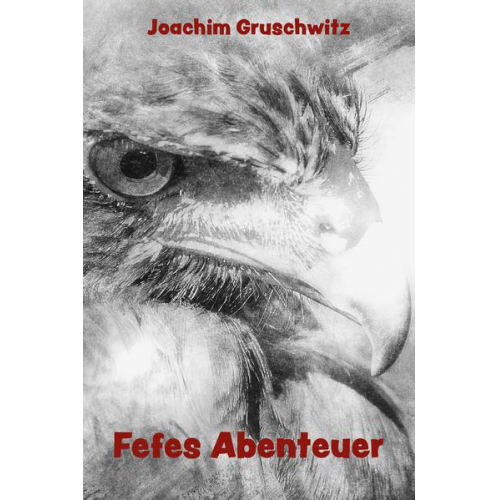 Joachim Gruschwitz - Fefes Abenteuer