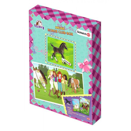 SCHLEICH® Horse Club(TM) - Meine Horse-Club-Box