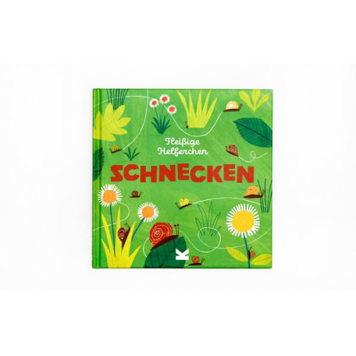 148294 - Schnecken