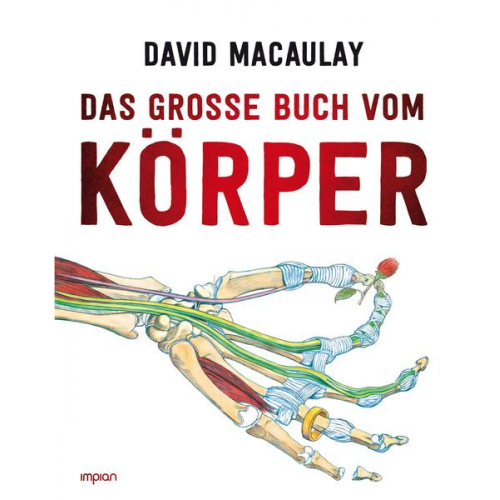 115143 - Das große Buch vom Körper