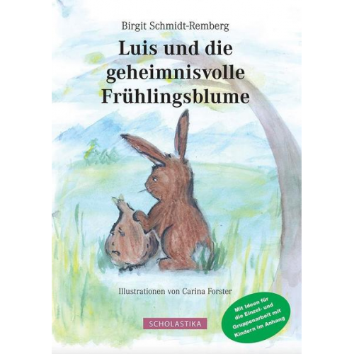 Birgit Schmidt-Remberg - Luis und die geheimnisvolle Frühlingsblume