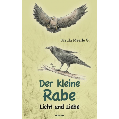 Ursula Meerle G. - Der kleine Rabe