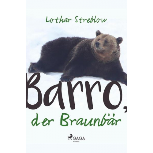 Lothar Streblow - Barro, der Braunbär