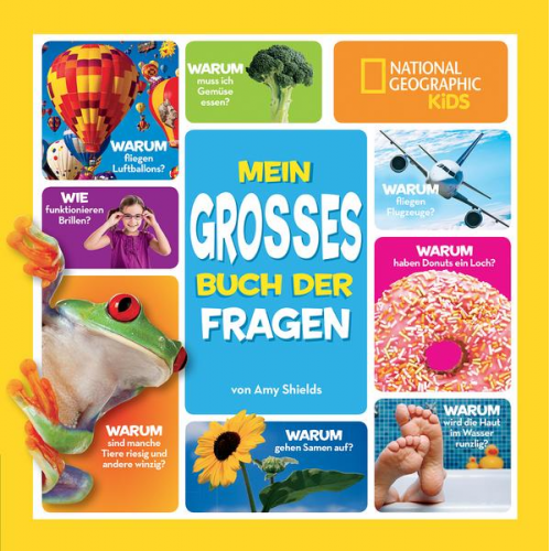 Amy Shields - Mein großes Buch der Fragen