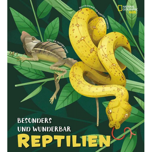 104557 - Besonders und wunderbar: Reptilien