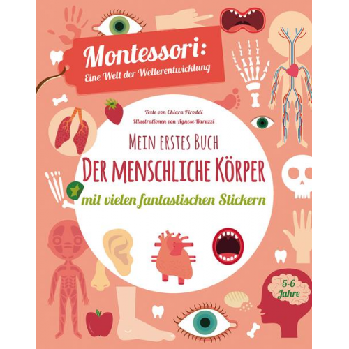 96890 - Mein erstes Buch: Der menschliche Körper