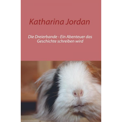 Katharina Jordan - Die Dreierbande - Ein Abenteuer das Geschichte schreiben wird