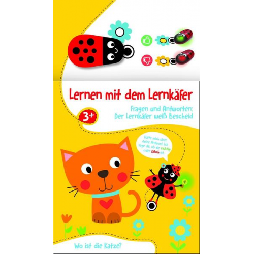 Lernen mit dem Lernkäfer - Katze (3+)