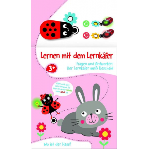 Lernen mit dem Lernkäfer - Hase (3+)