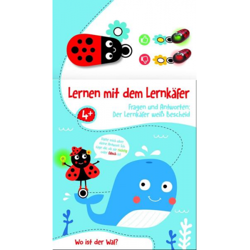 Lernen mit dem Lernkäfer - Wal (4+)