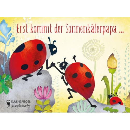 Erst kommt der Sonnenkäferpapa ...
