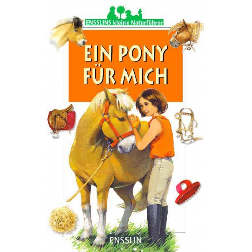 Gilles Delaborde - Ein Pony für mich