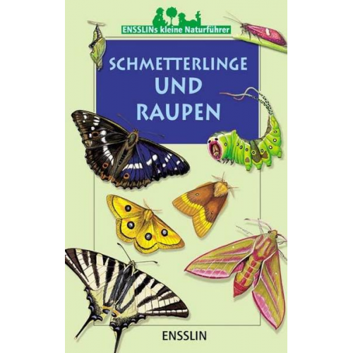 Léon Rogez - Schmetterlinge und Raupen