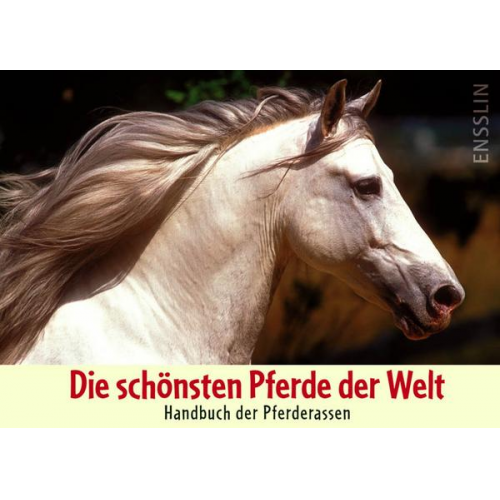 Judith Dutson - Die schönsten Pferde der Welt