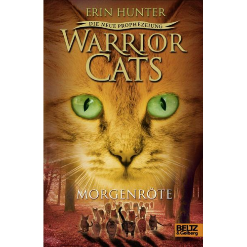 56161 - Warrior Cats Staffel 2/03. Die neue Prophezeiung. Morgenröte