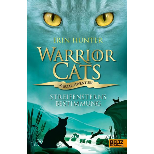 Erin Hunter - Streifensterns Bestimmung / Warrior Cats - Special Adventure Bd.4