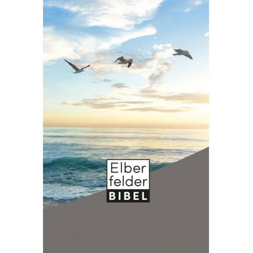 Elberfelder Bibel - Taschenausgabe, Motiv Möwen