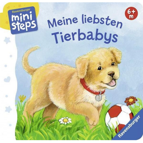 Ana Weller - Meine liebsten Tierbabys