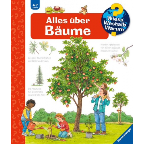 Susanne Gernhäuser - Wieso? Weshalb? Warum?, Band 52 - Alles über Bäume